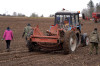 Около 1 тыс. студентов помогают белорусским аграриям на весенней посевной